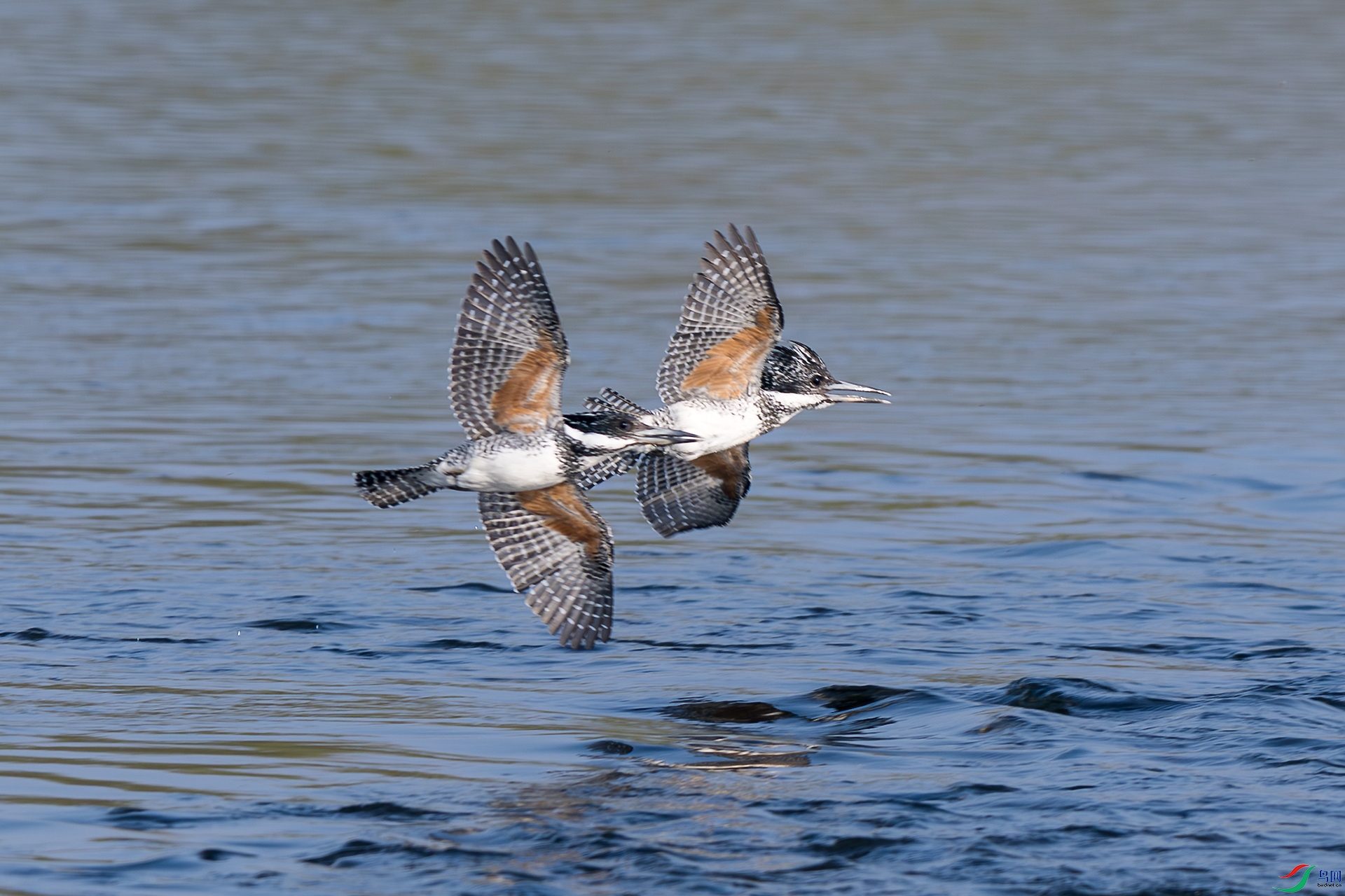 _F9A3956 ����.jpg