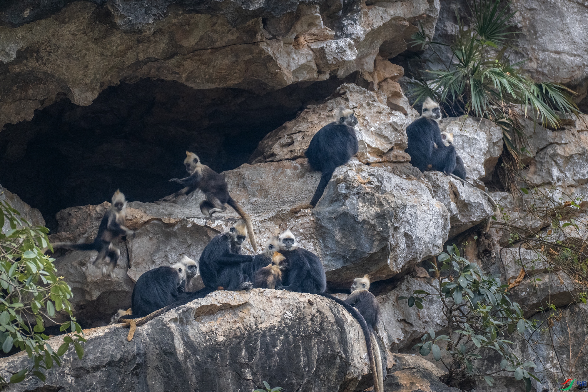 DSC_8796 ����.jpg