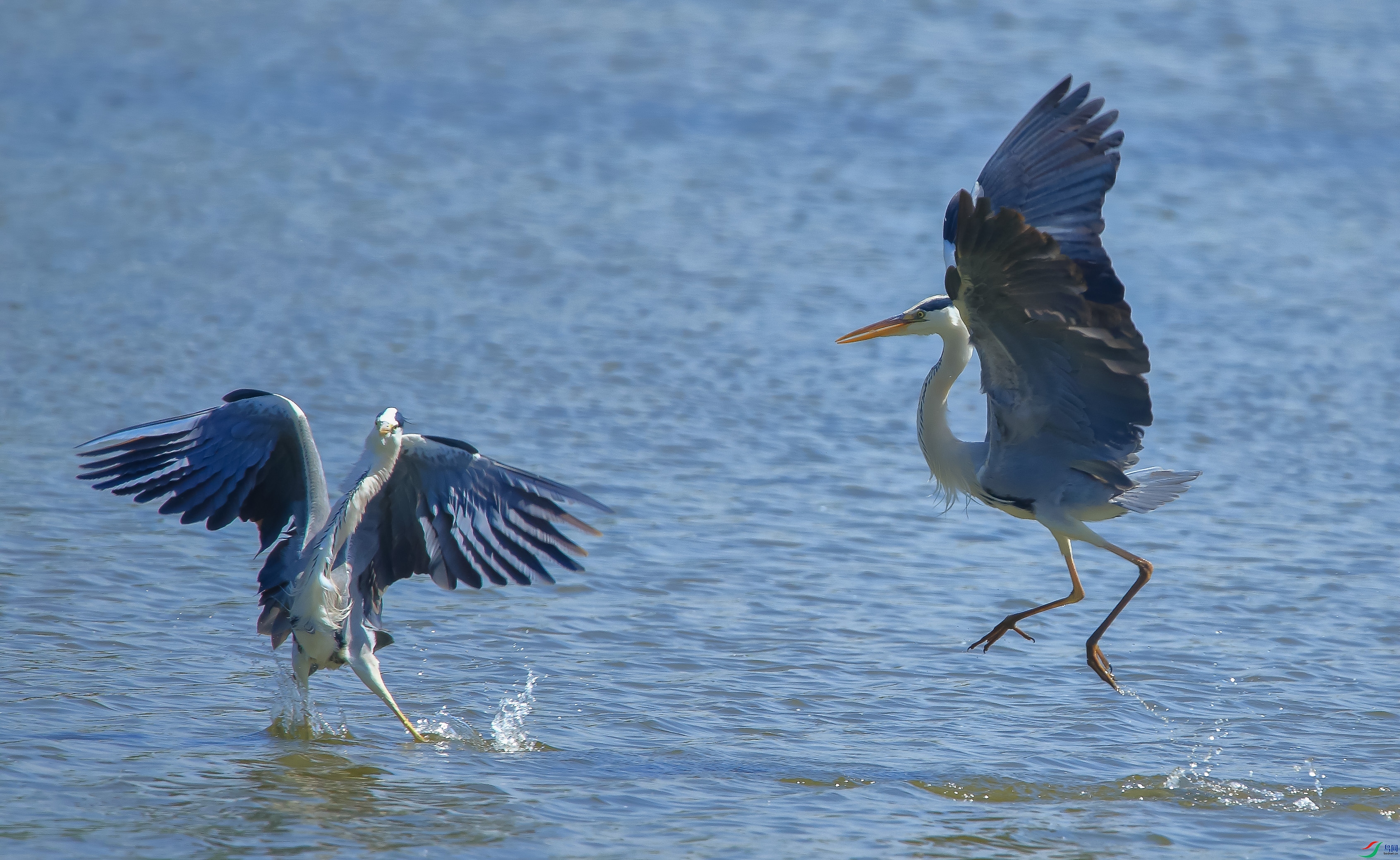 AM6Y0420 ����.jpg