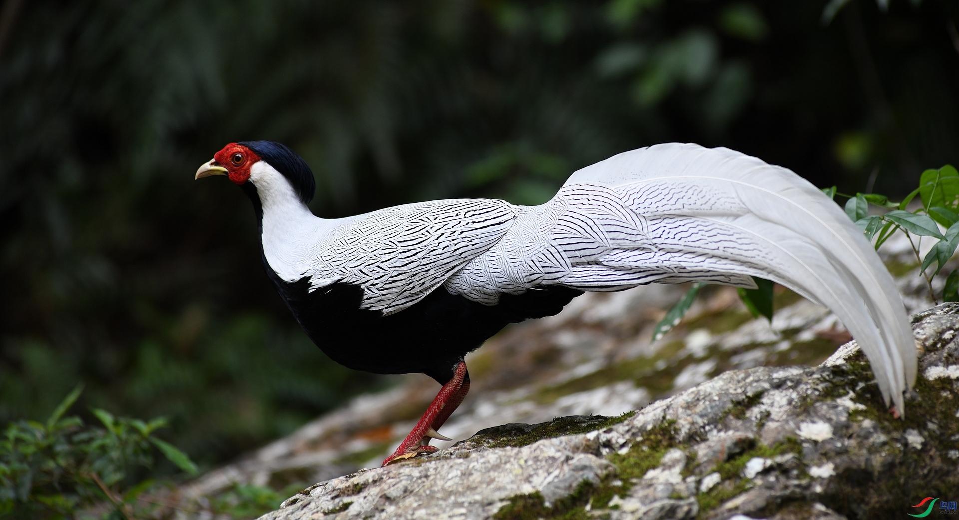 DSC_7771.jpg