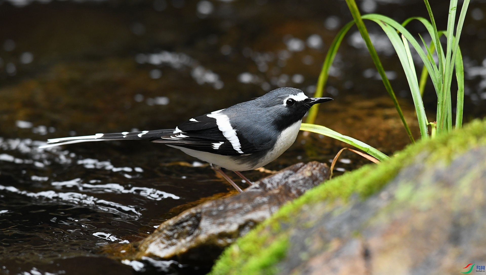 DSC_7822.jpg