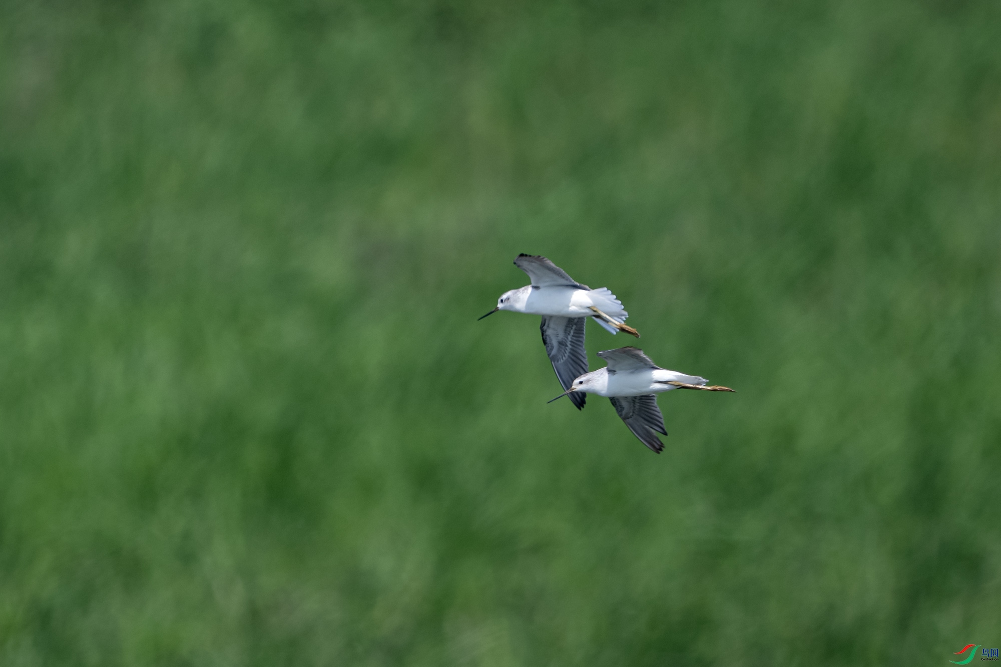 DSC_3667.jpg