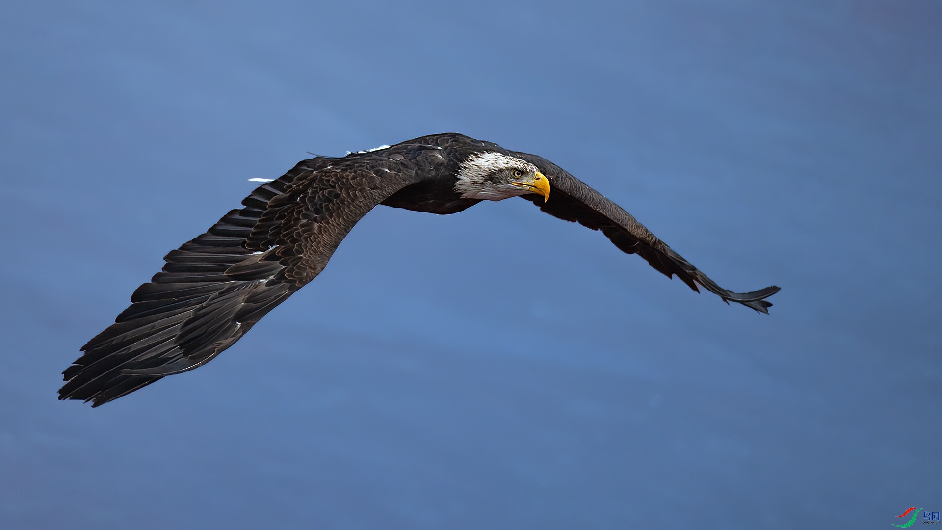 ��ͷ����