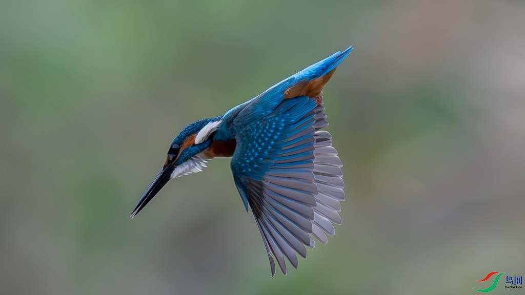 DSC_3499_����.jpg