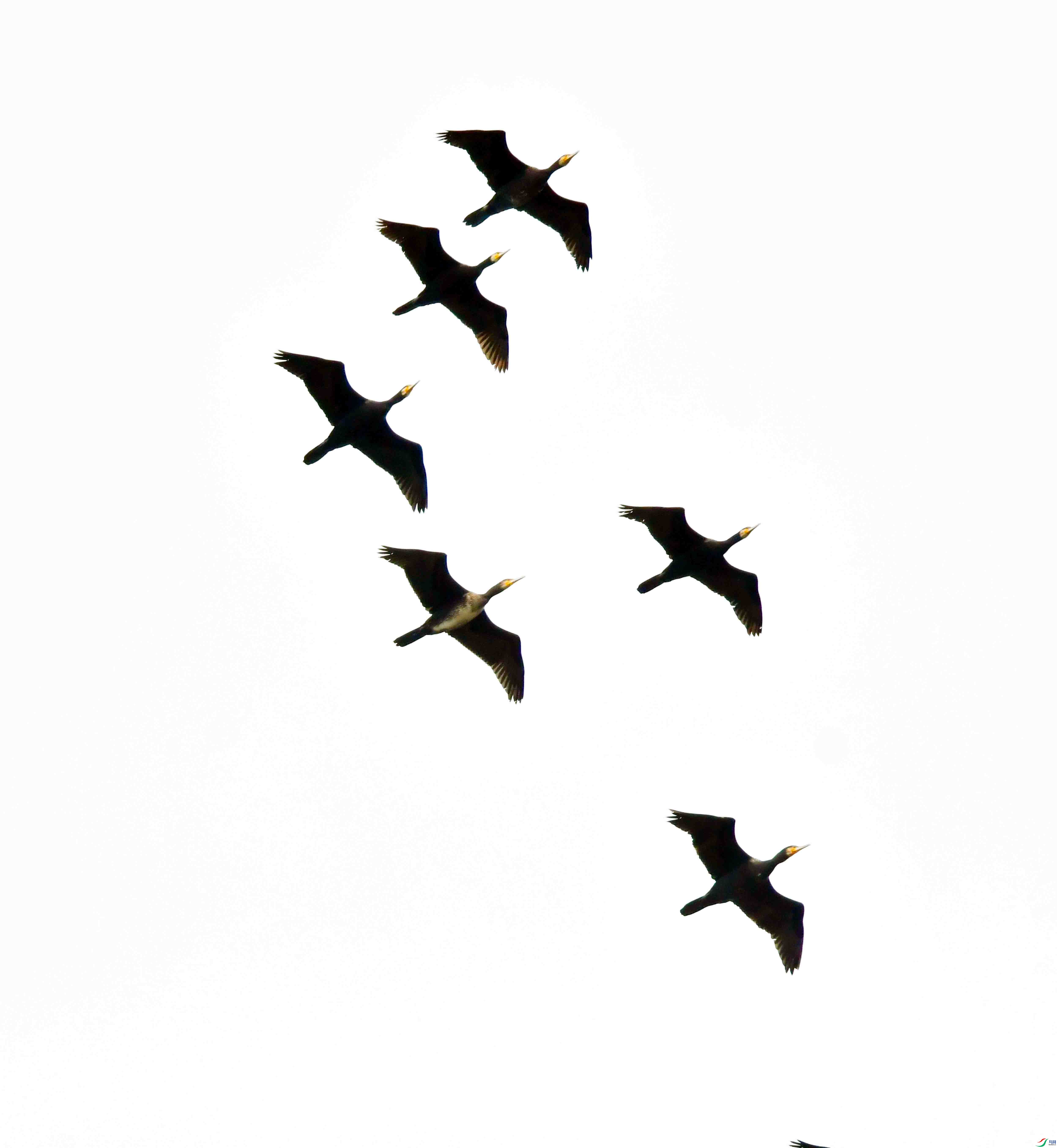 DSC_1062.JPG