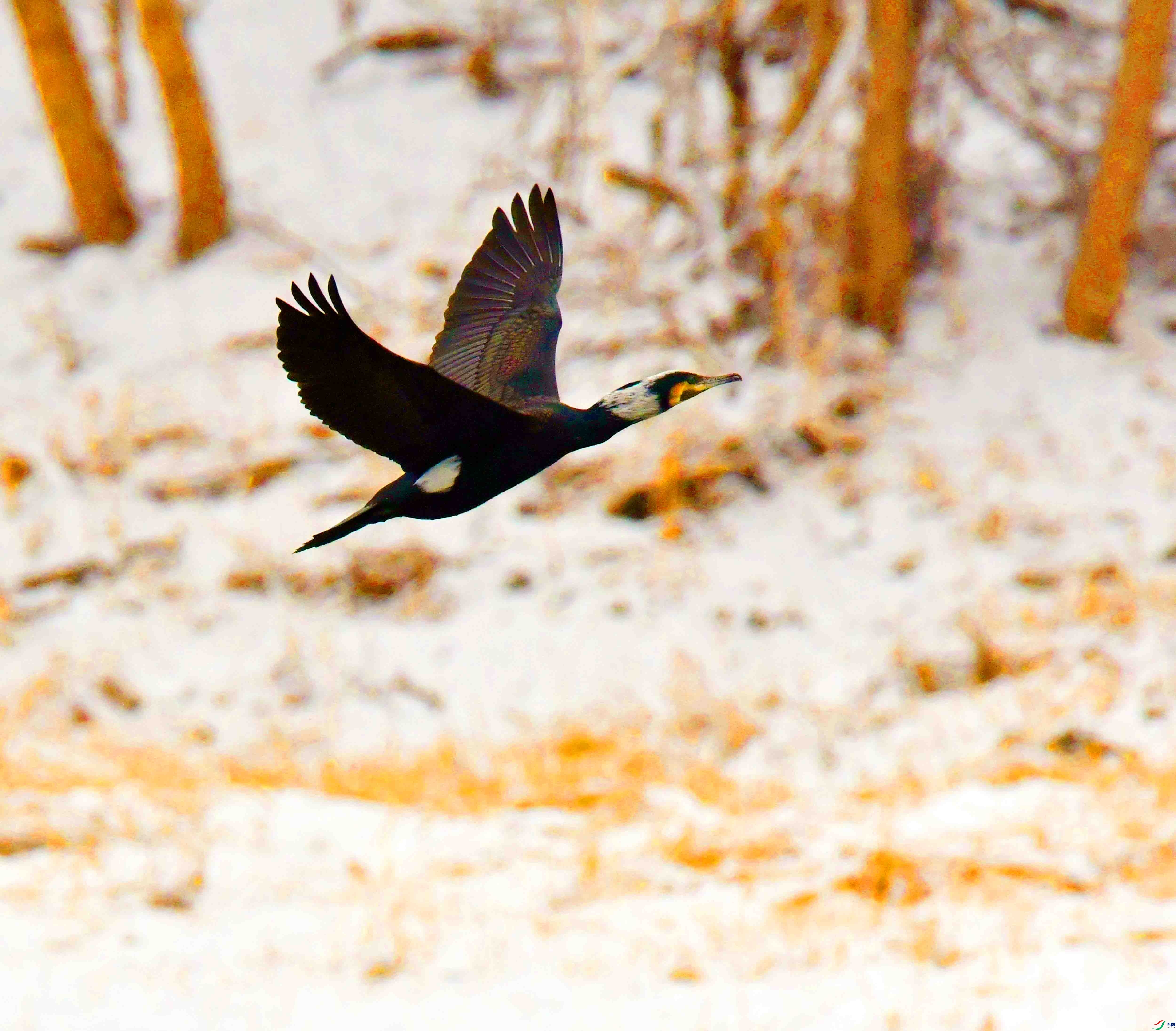 DSC_3808.JPG