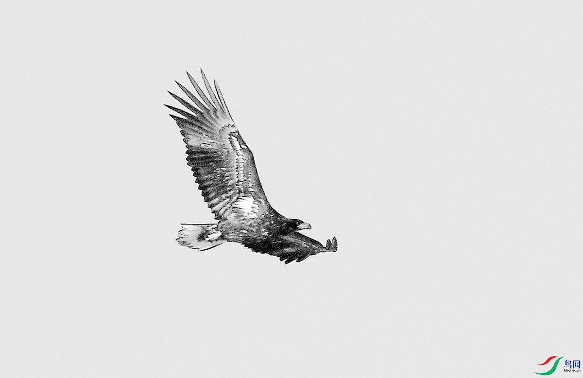 HA5196��β����-26.JPG