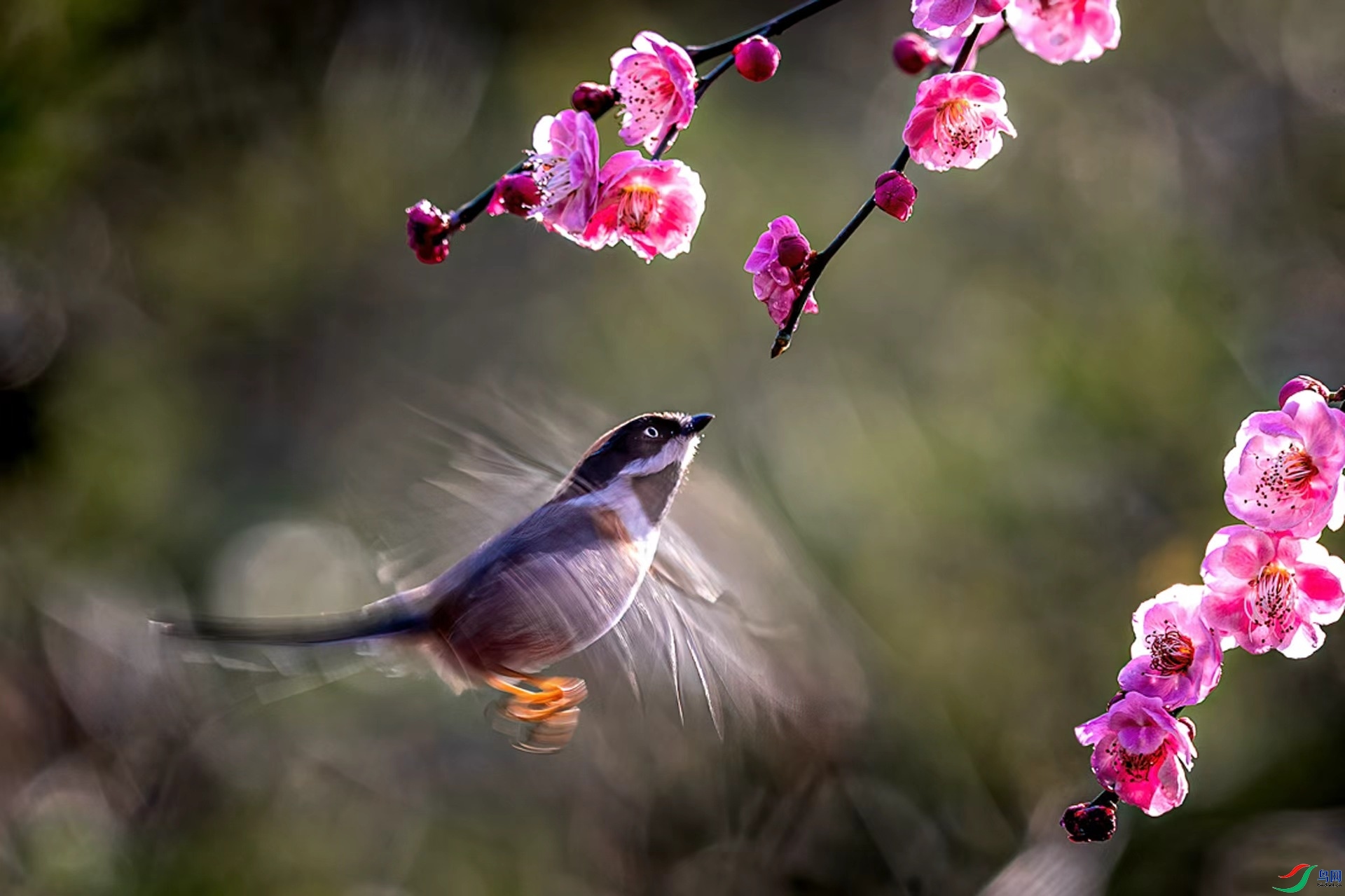 mmexport1774651781294.jpg
