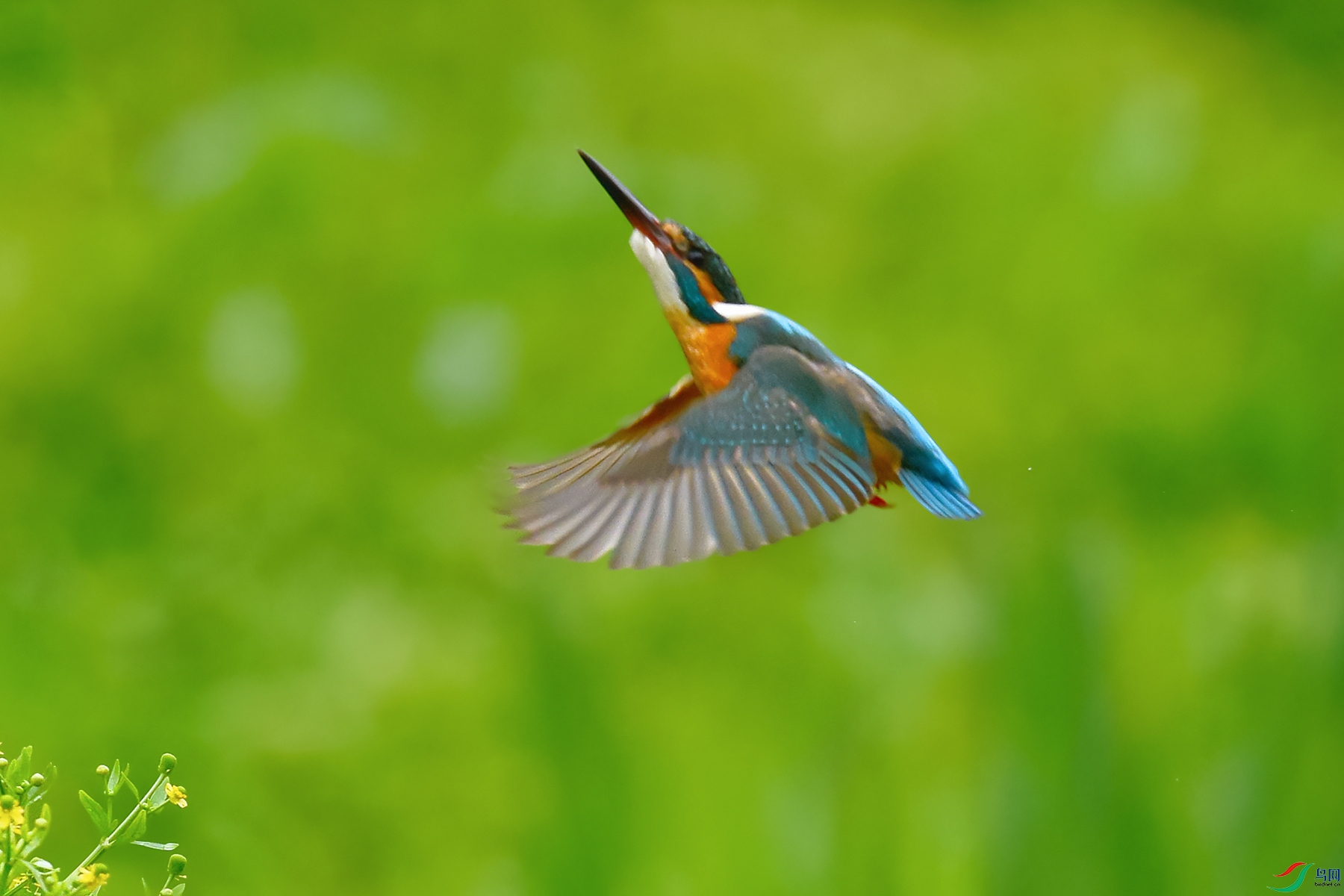 DSC_2844_DxOa.jpg