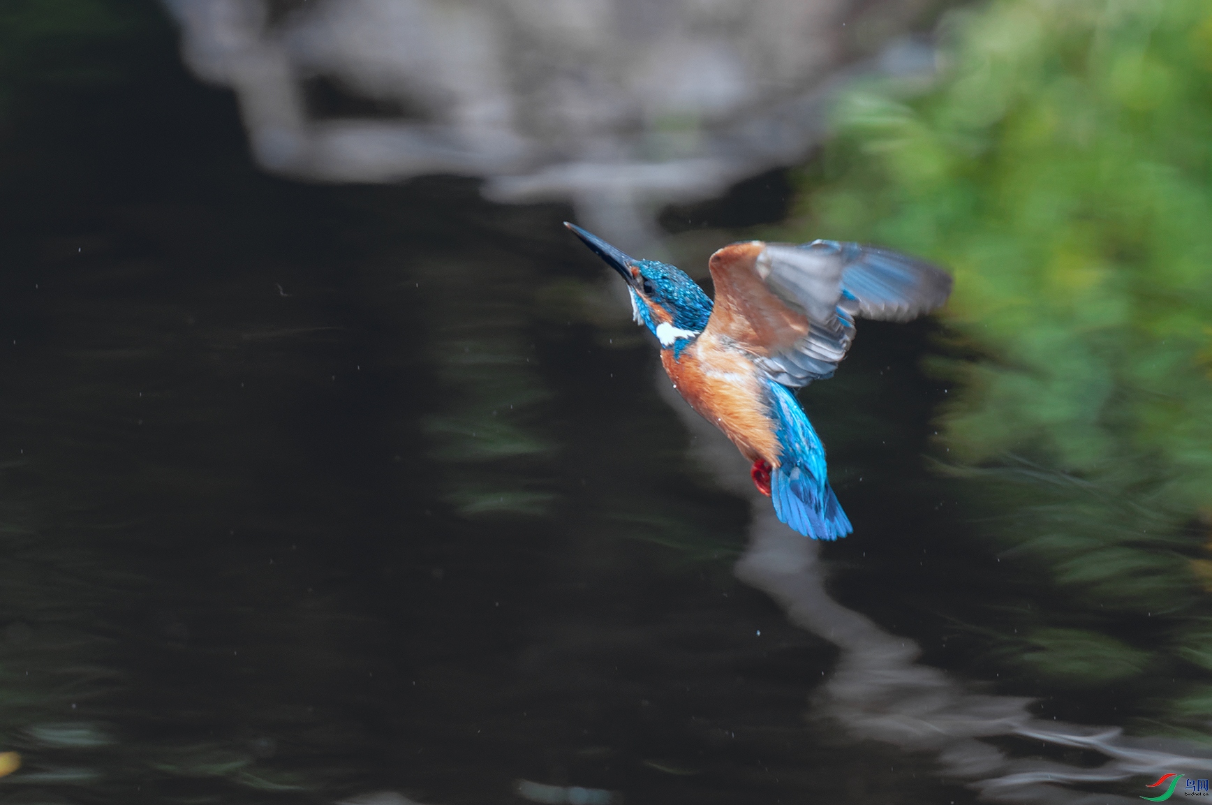 DSC_0008_DxOa.jpg