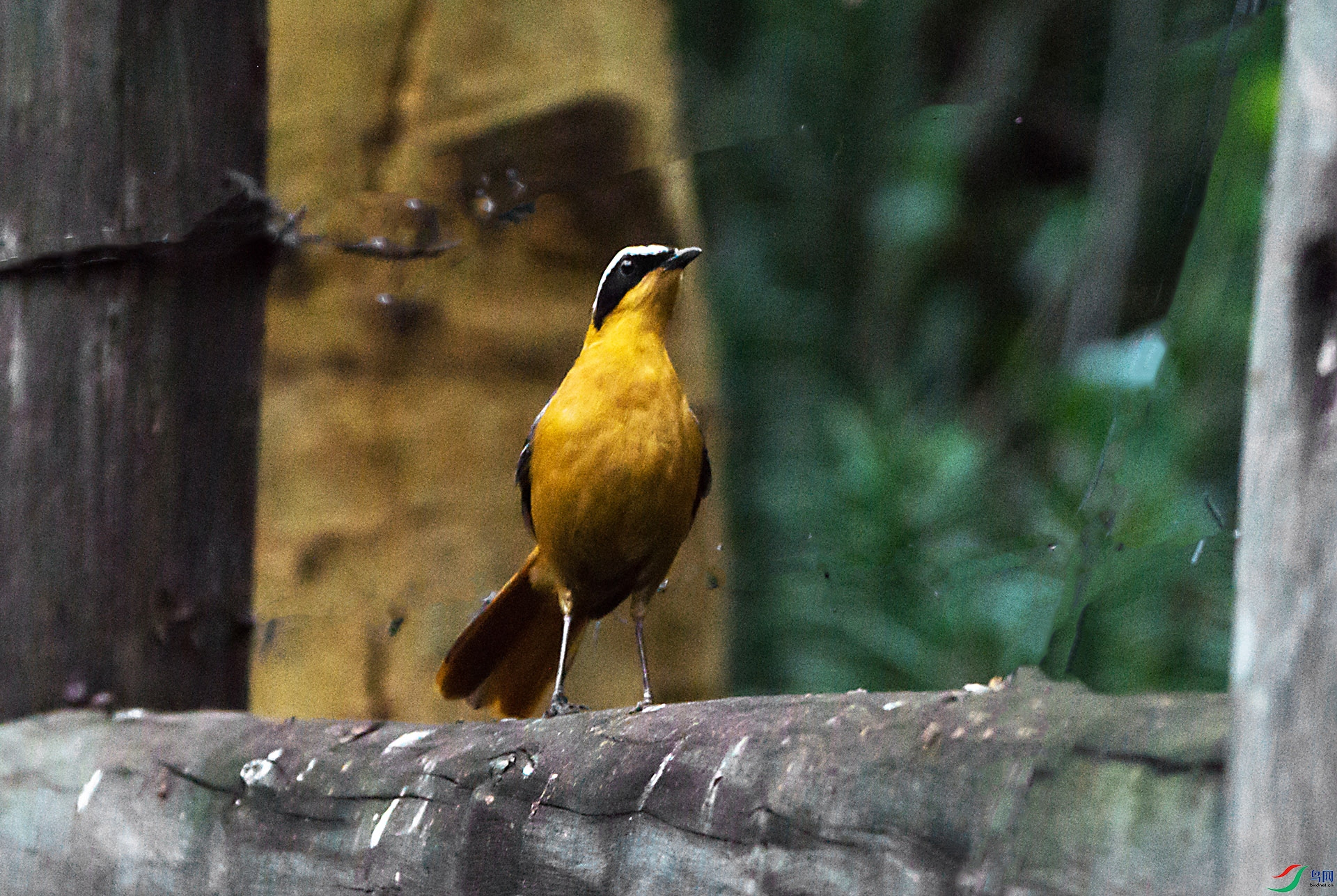 DSC08265-6x.jpg
