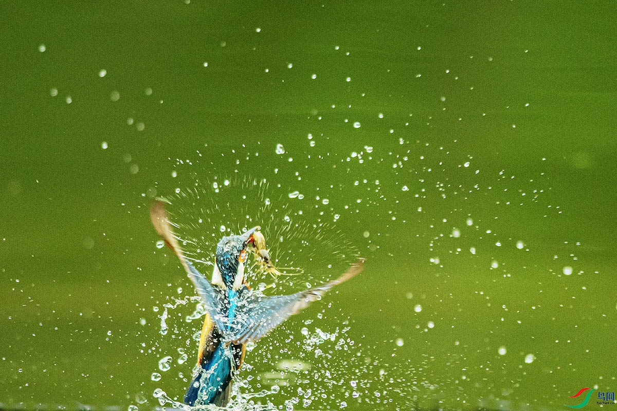 DSC_6762.jpg