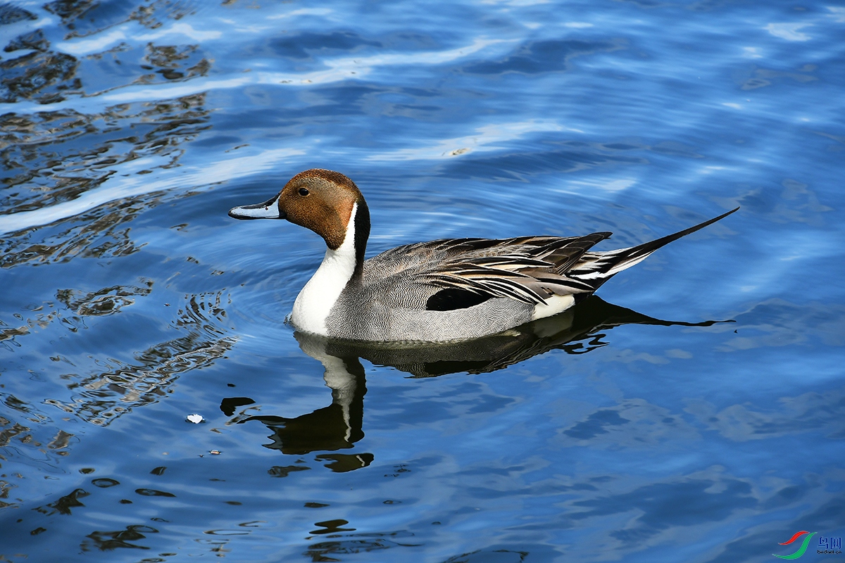 DSC_9818.JPG