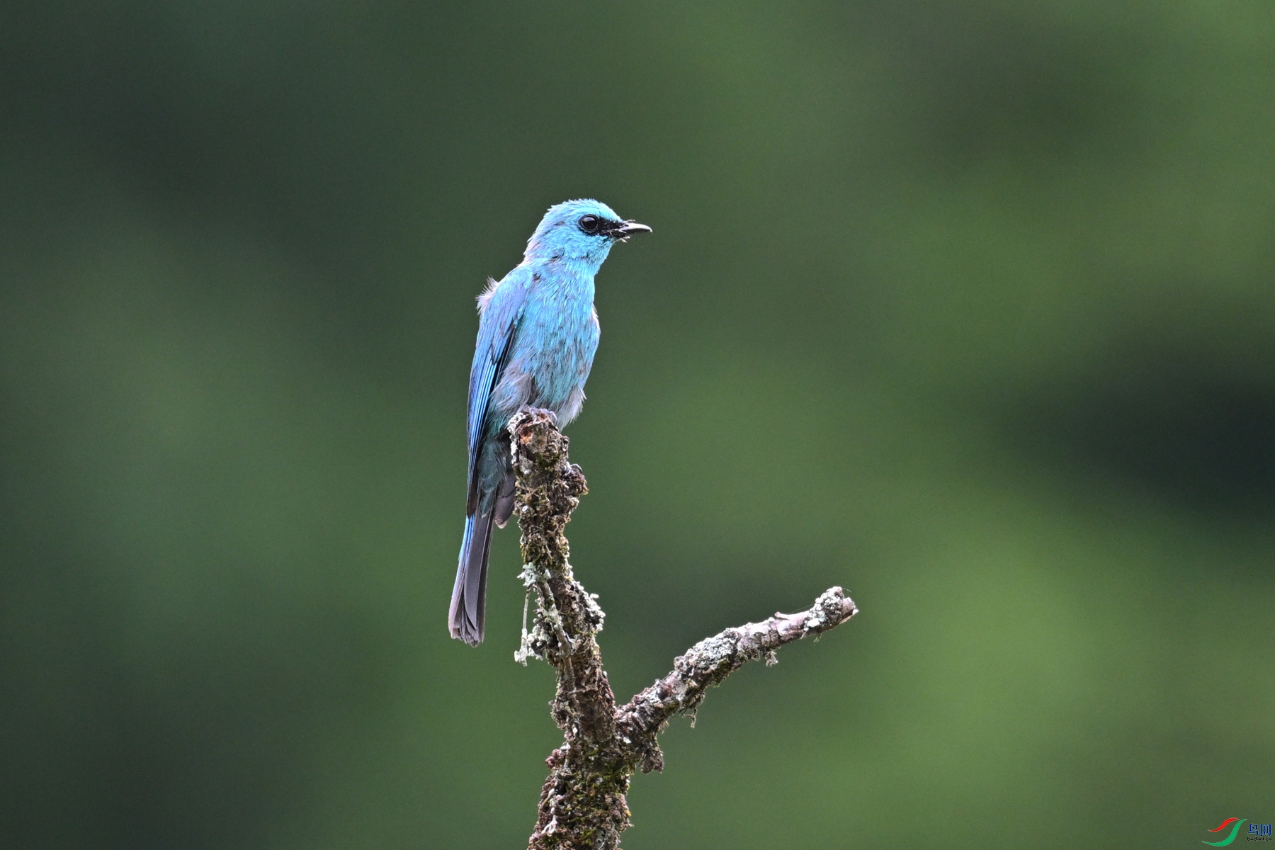DSC_3138.JPG