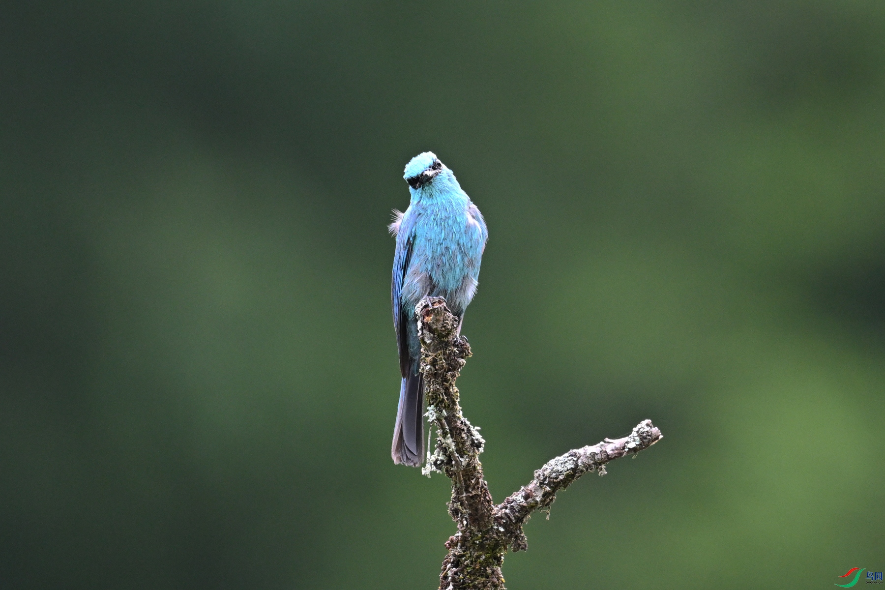 DSC_3147.JPG