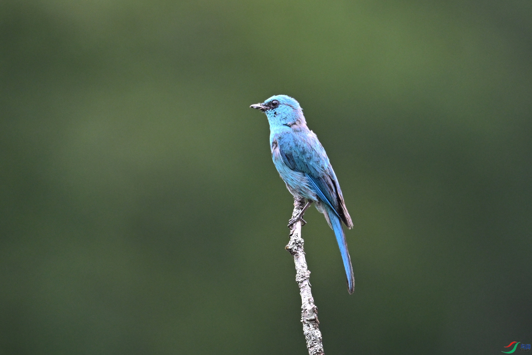 DSC_3161.JPG