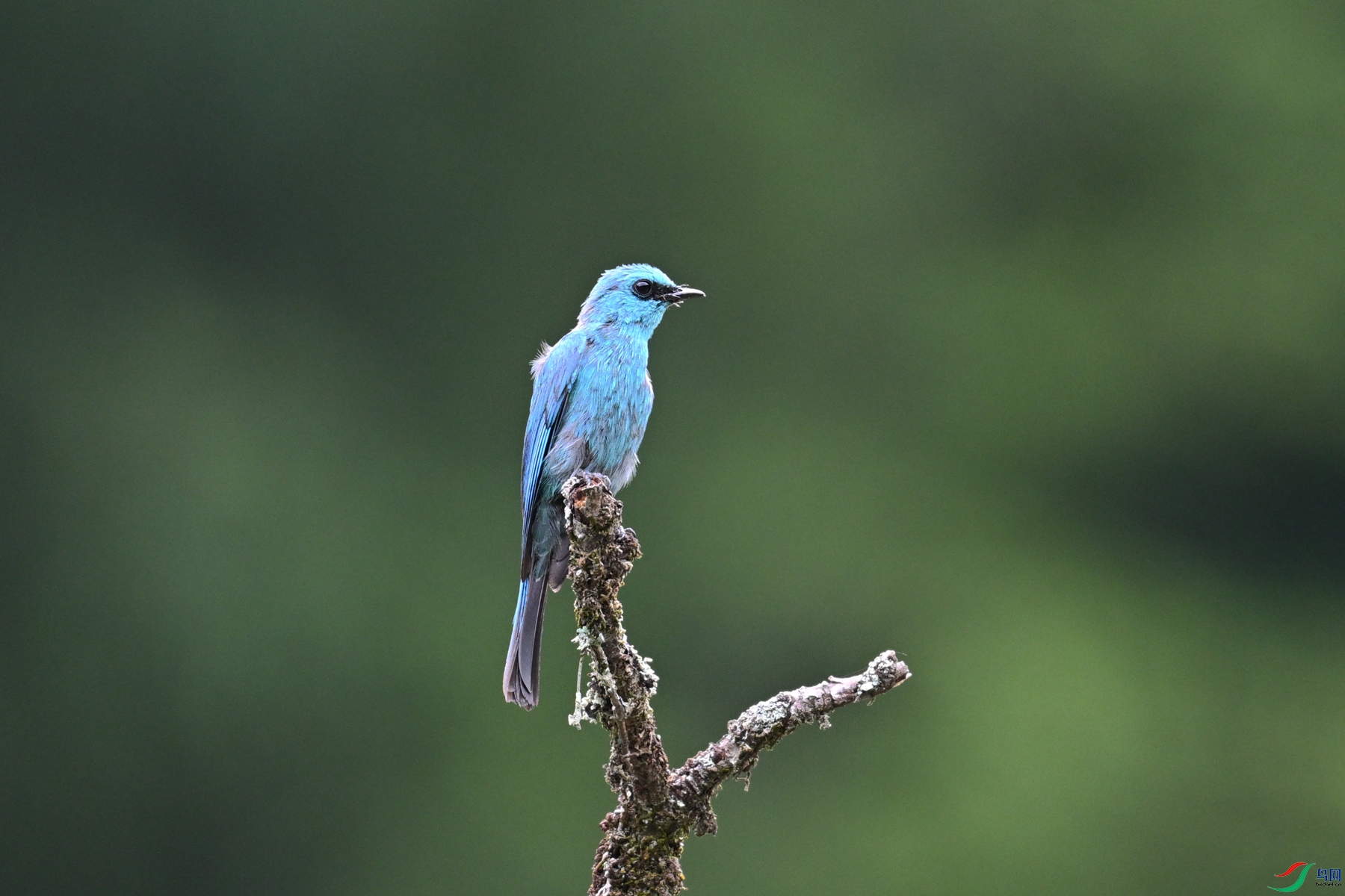 DSC_3139.JPG