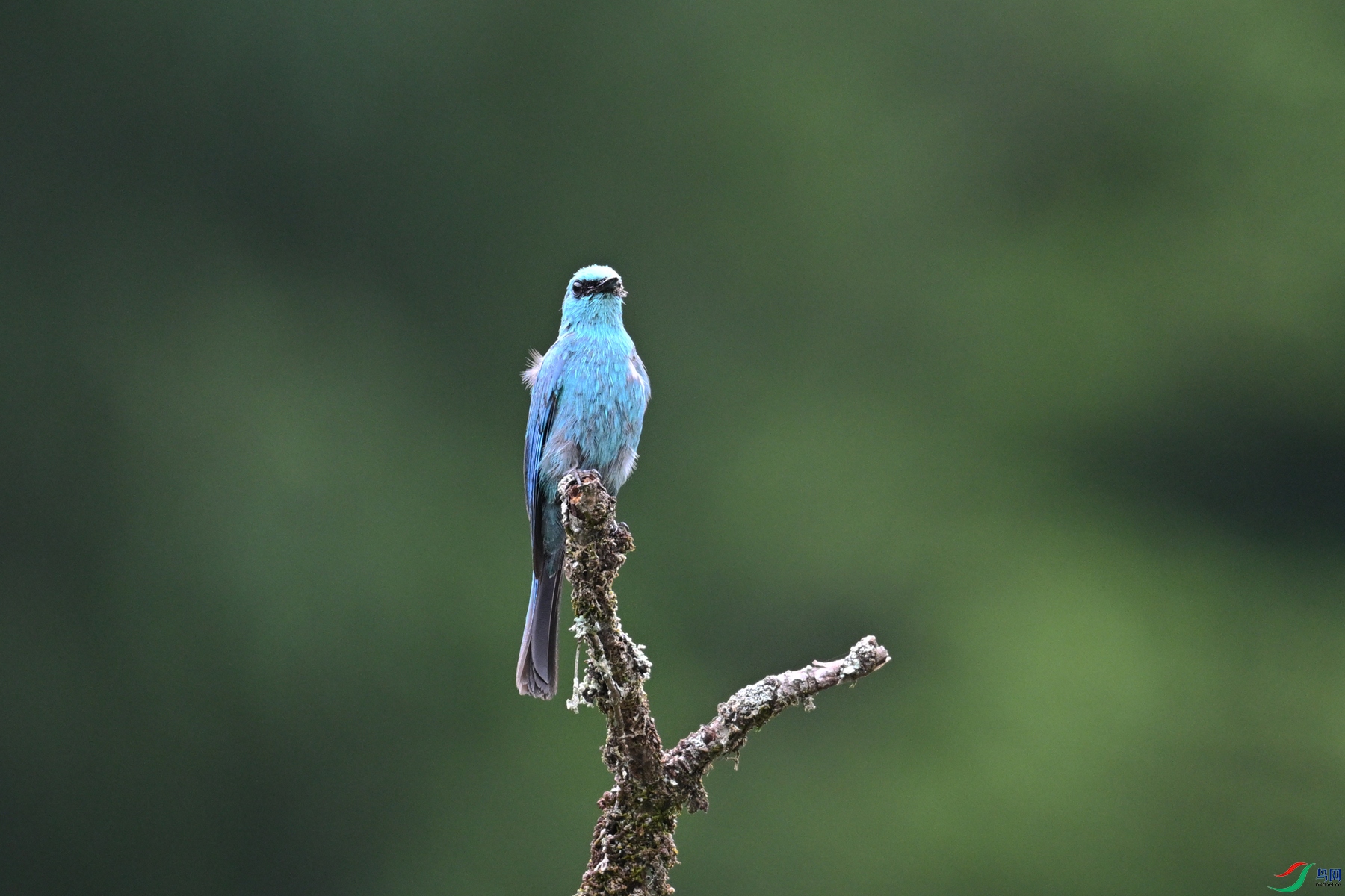 DSC_3149.JPG