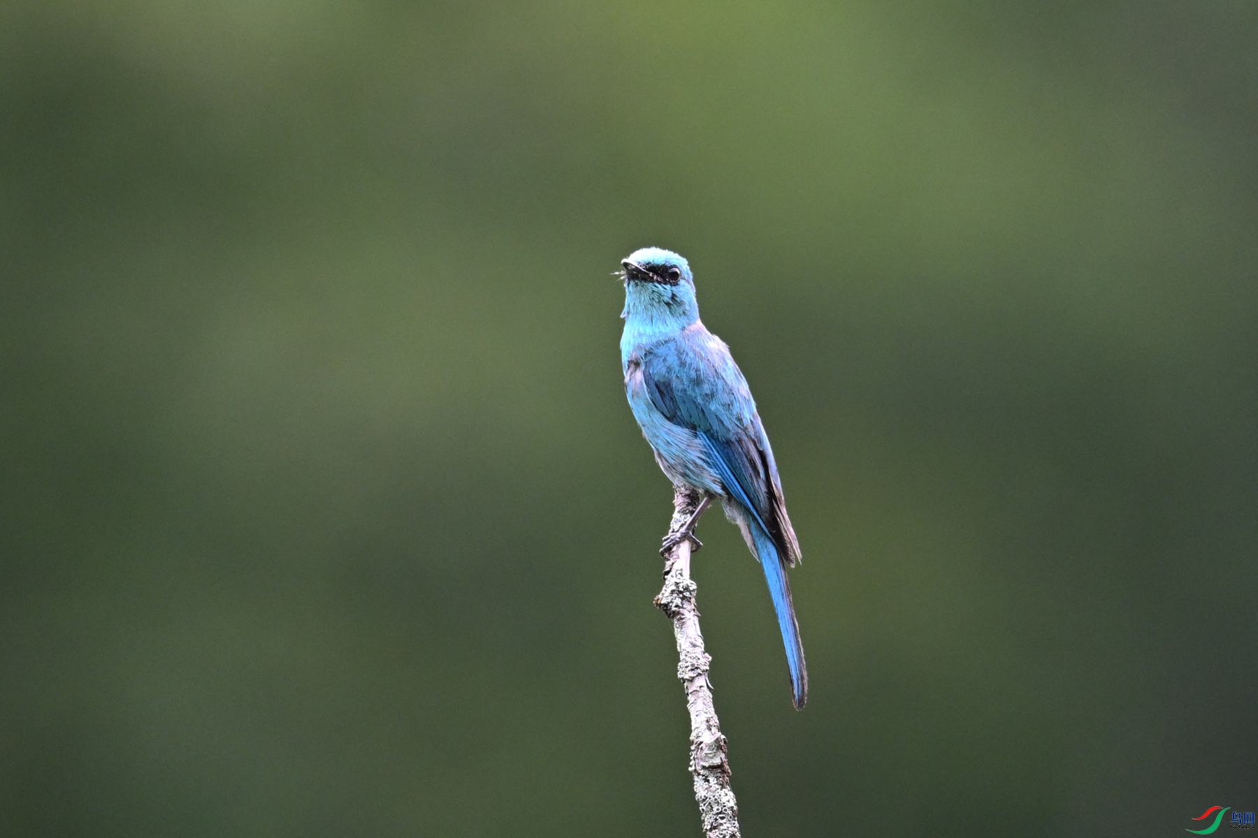 DSC_3164.JPG