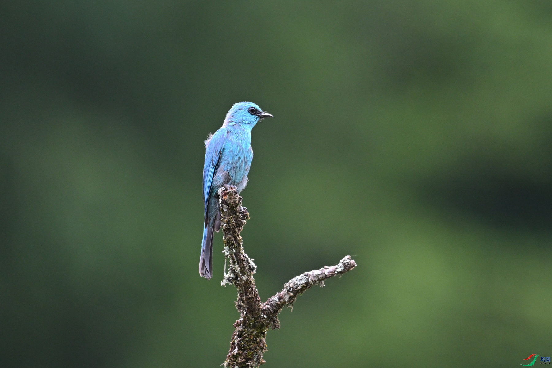 DSC_3140.JPG