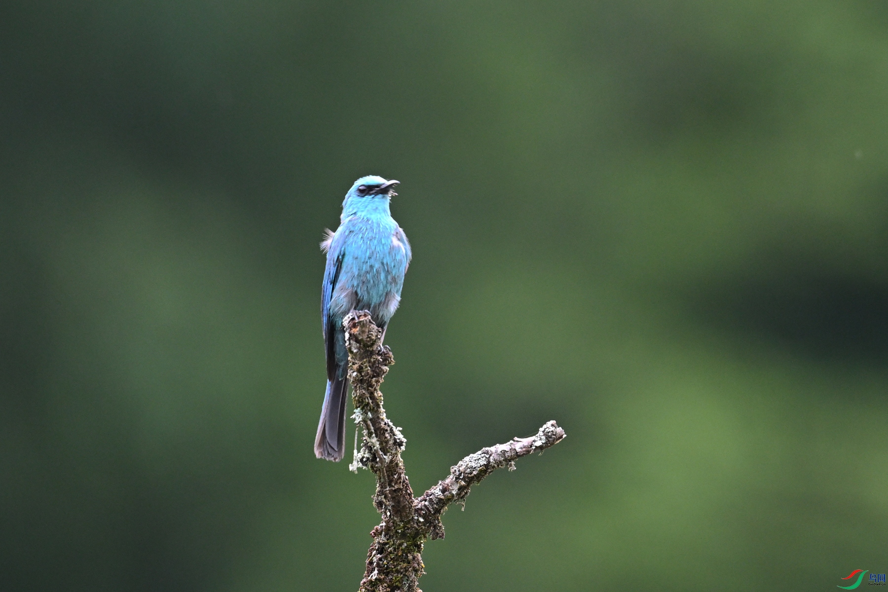 DSC_3142.JPG