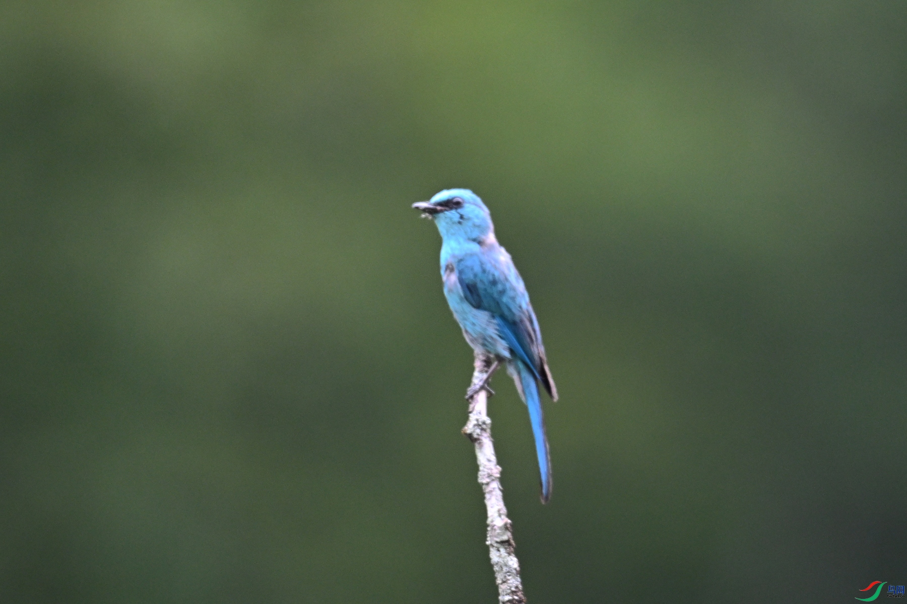 DSC_3154.JPG
