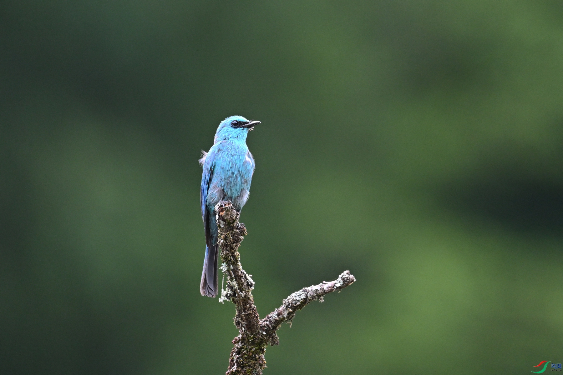 DSC_3144.JPG