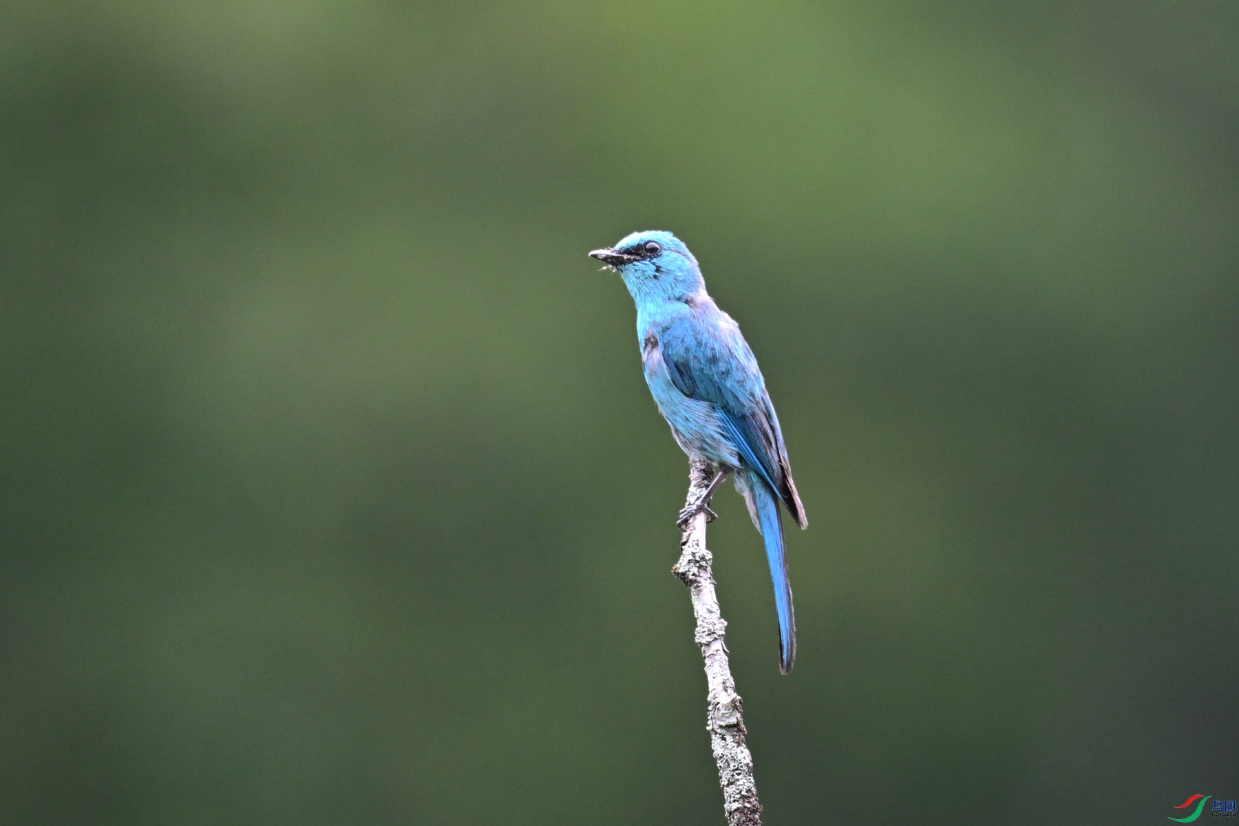 DSC_3156.JPG