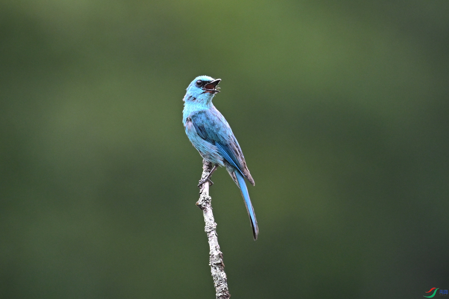 DSC_3183.JPG