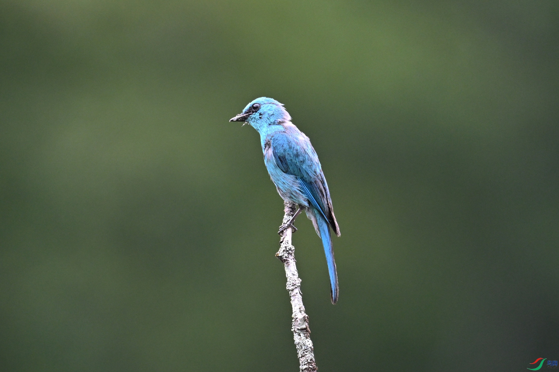 DSC_3159.JPG