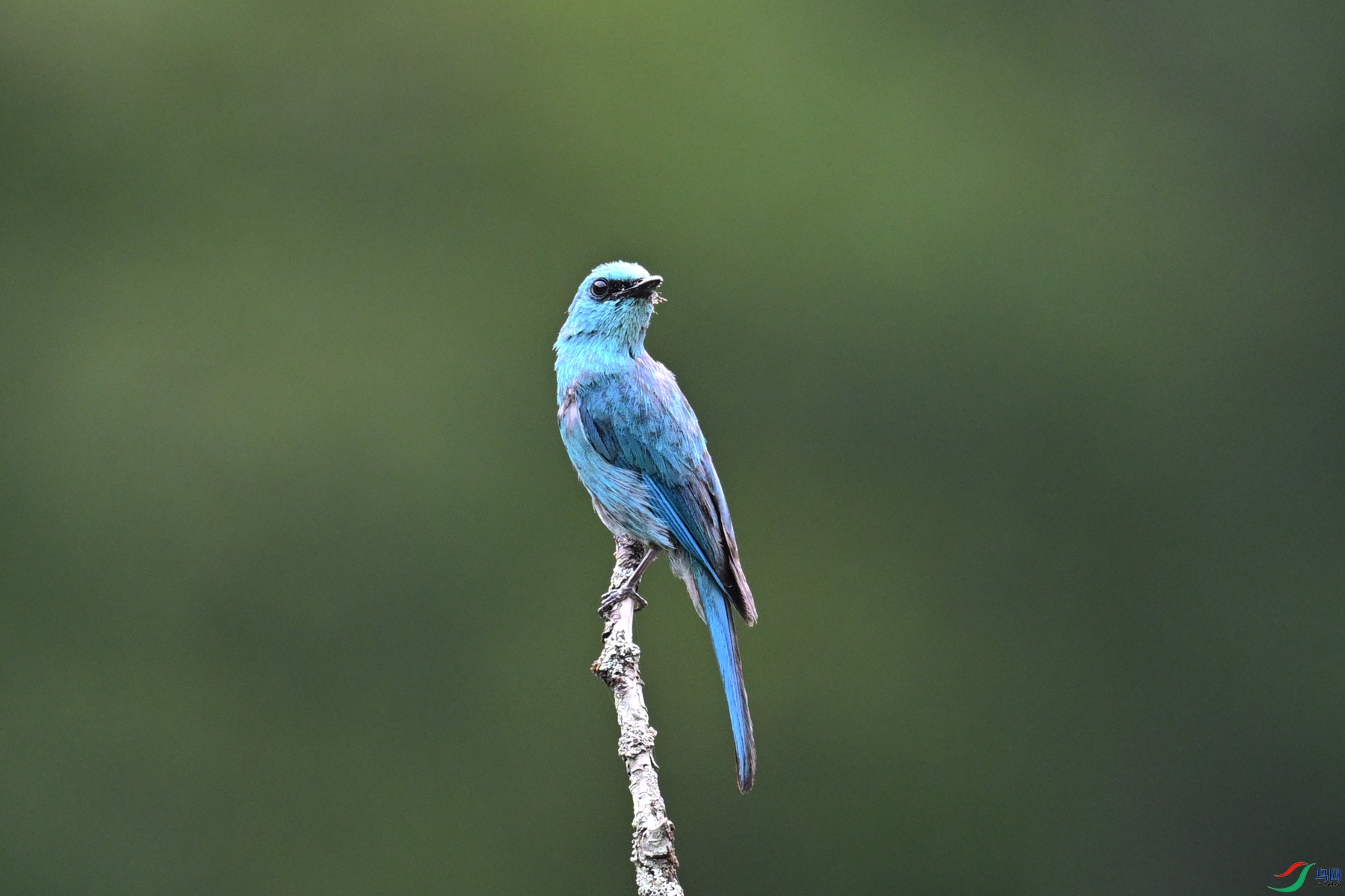 DSC_3162.JPG