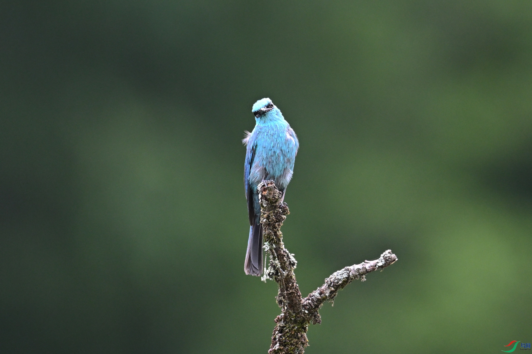 DSC_3146.JPG
