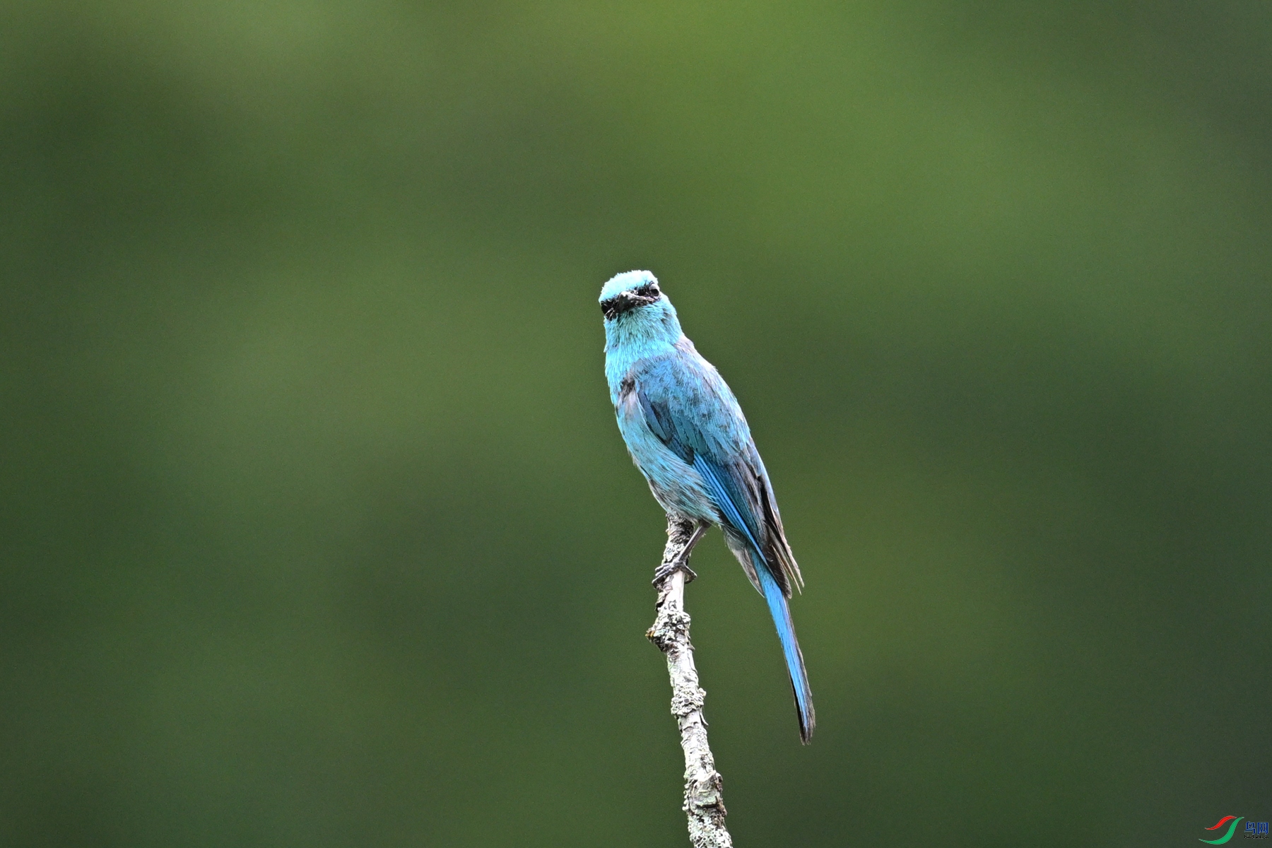 DSC_3177.JPG