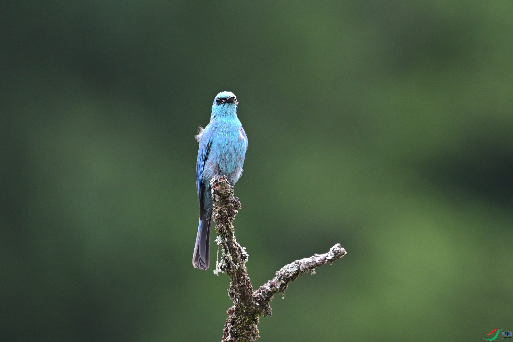 DSC_3148.JPG