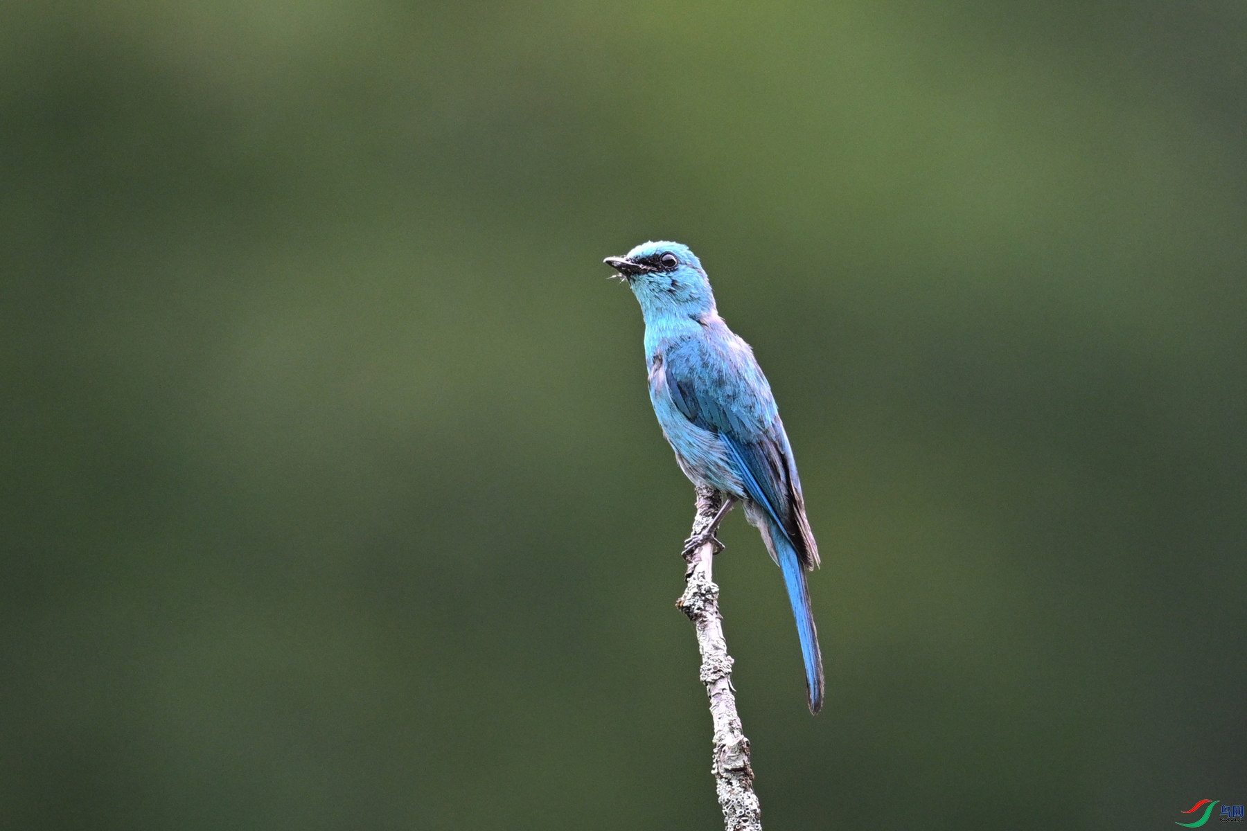 DSC_3166.JPG
