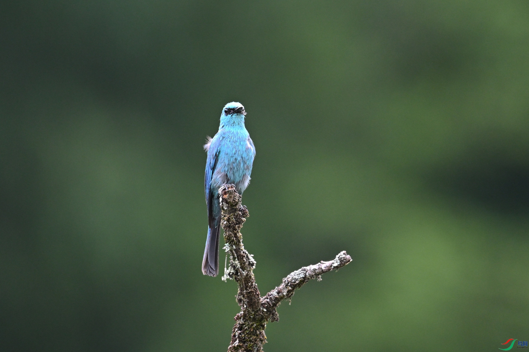 DSC_3150.JPG