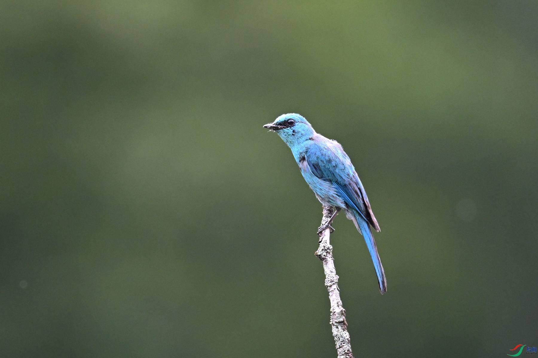 DSC_3153.JPG