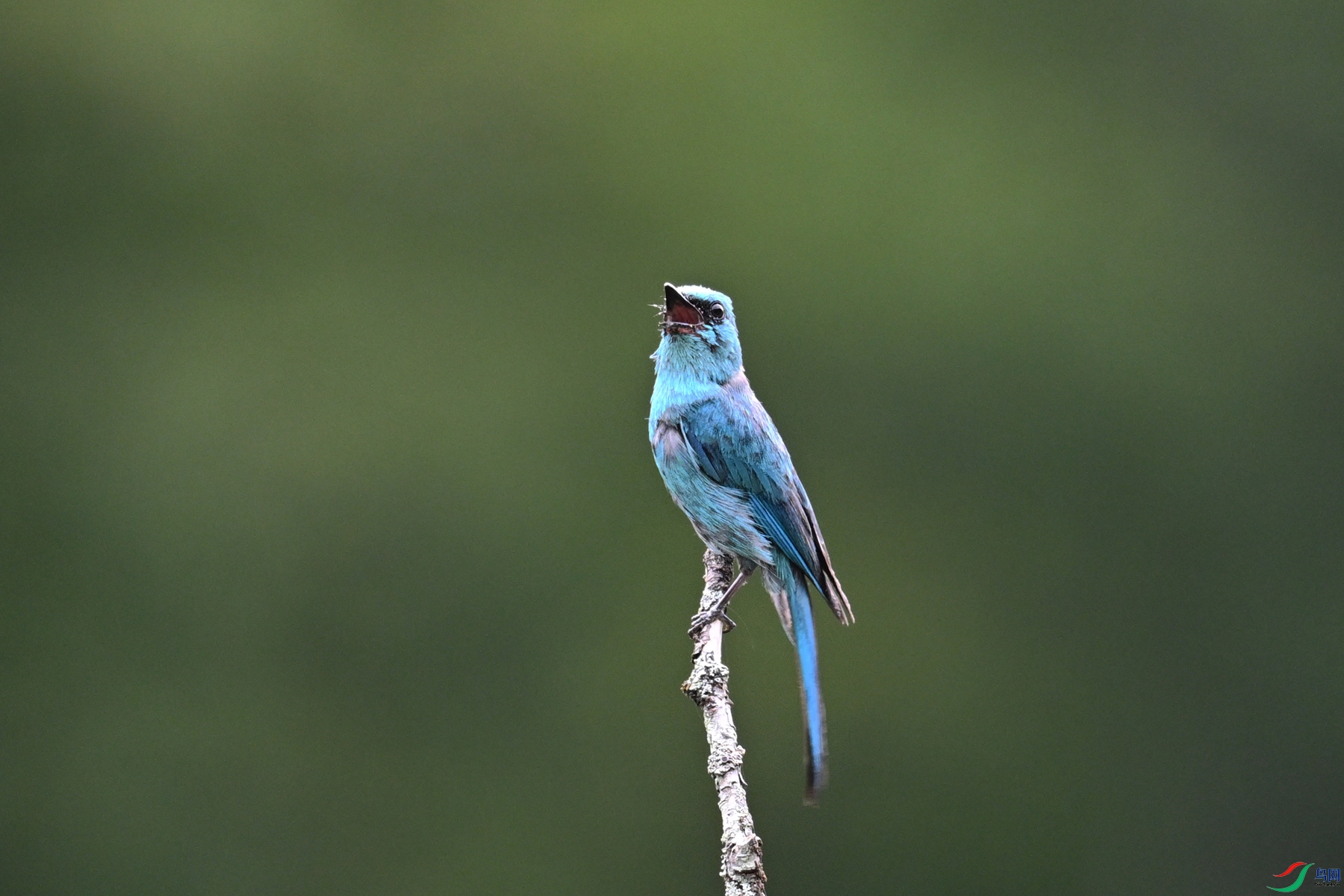 DSC_3169.JPG