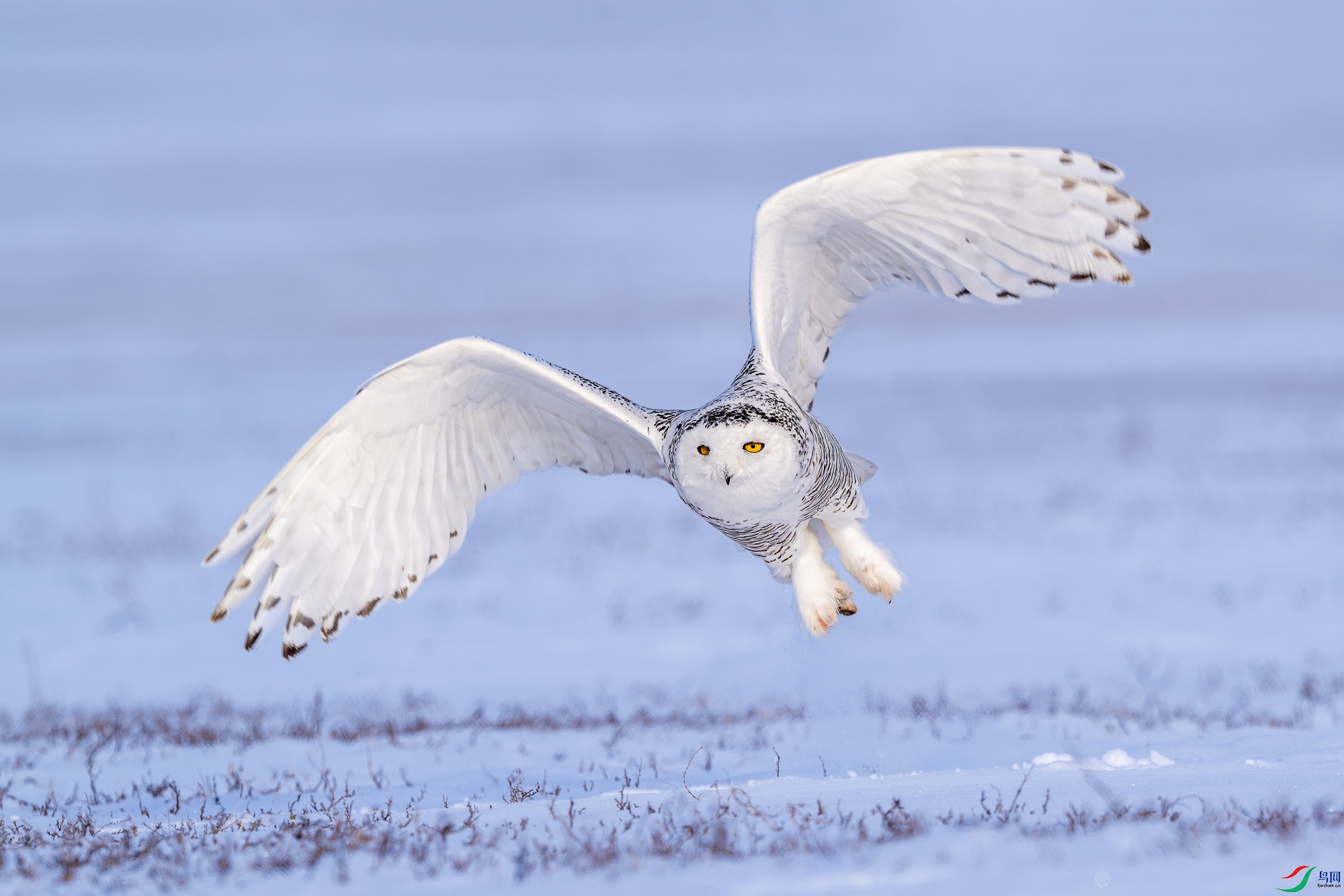 _DSC8693 ����.jpg