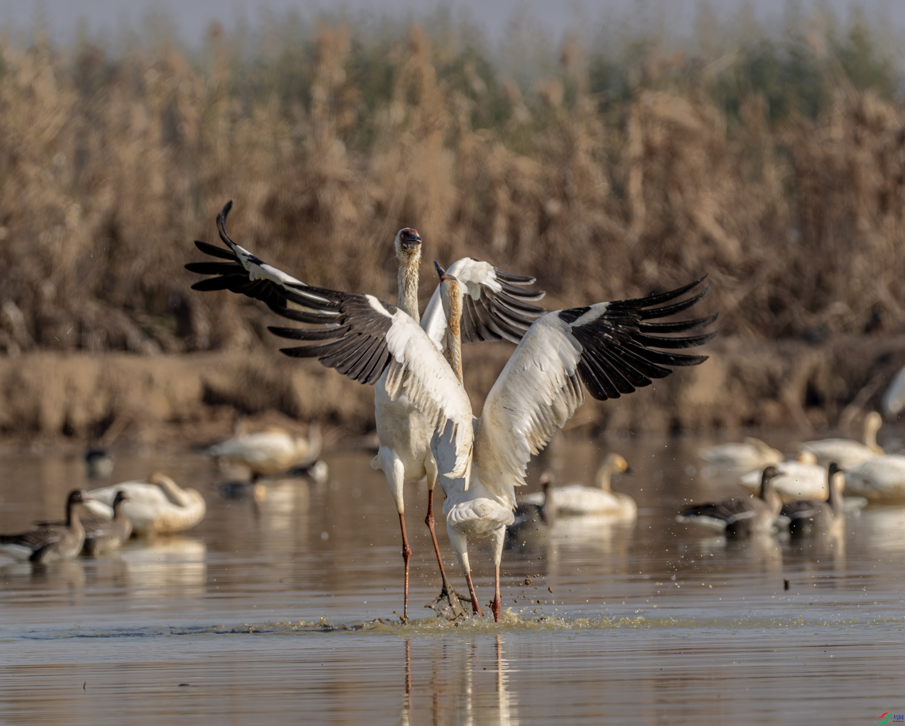 �׺�-01 (4 - 14).jpg