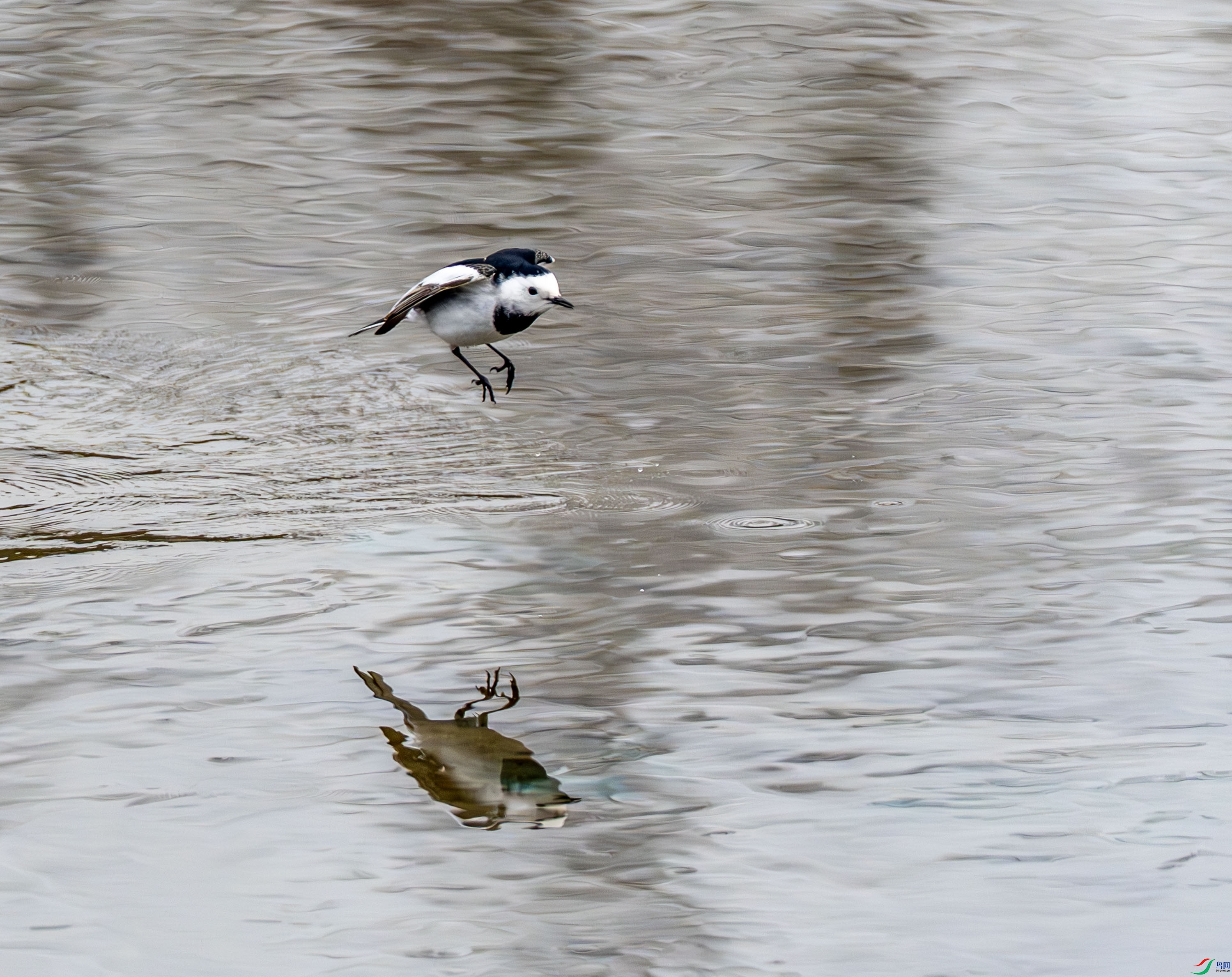 ���n�_ (2 - 7).jpg