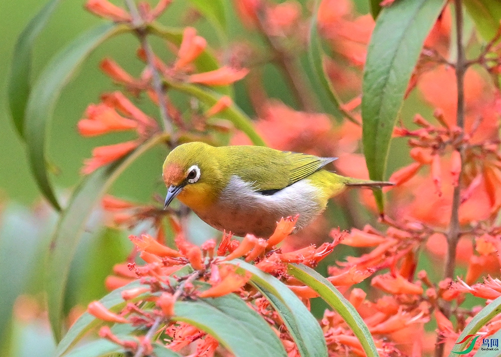 ���� (2).JPG