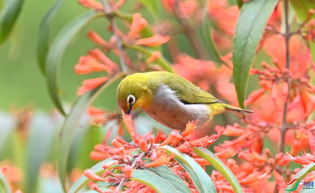 ���� (4).JPG