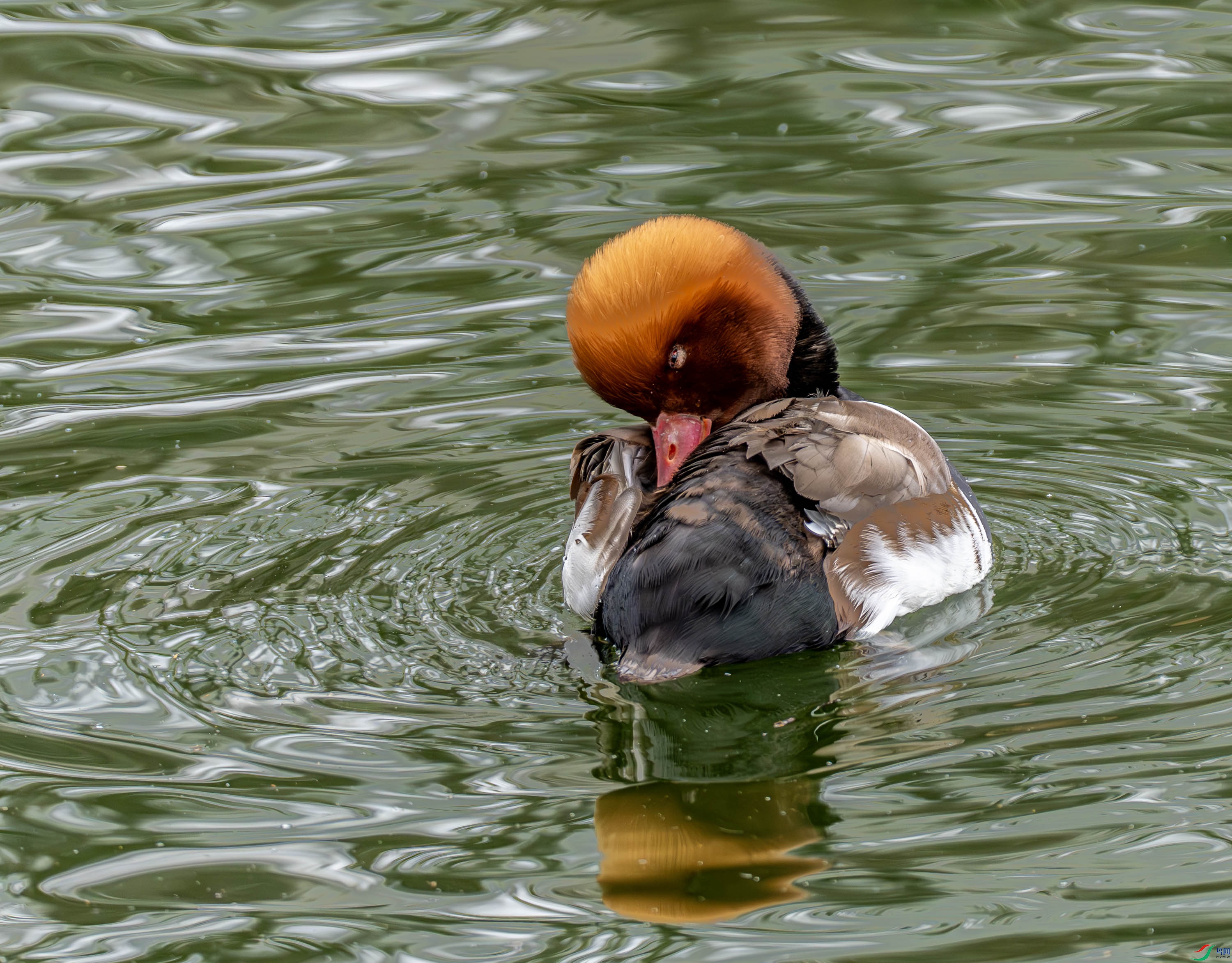 ����ǱѼ-01 (6 - 11).jpg