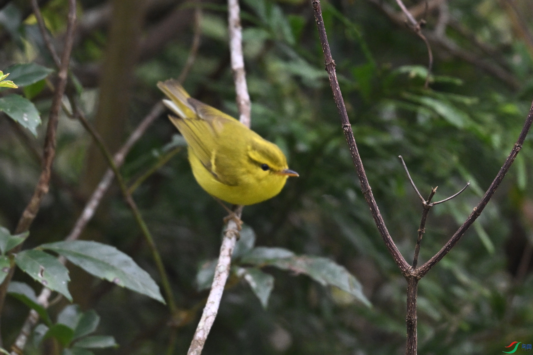 DSC_7106.JPG
