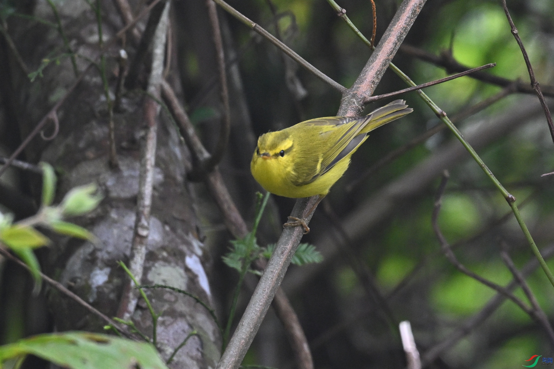 DSC_7119.JPG