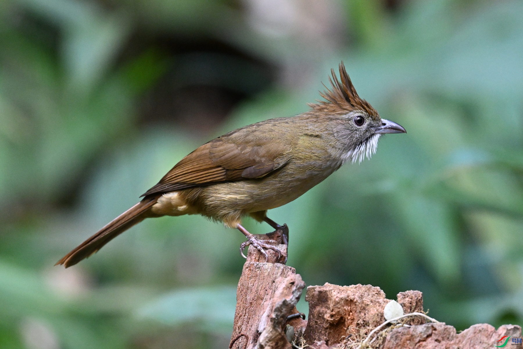 DSC_7219.JPG