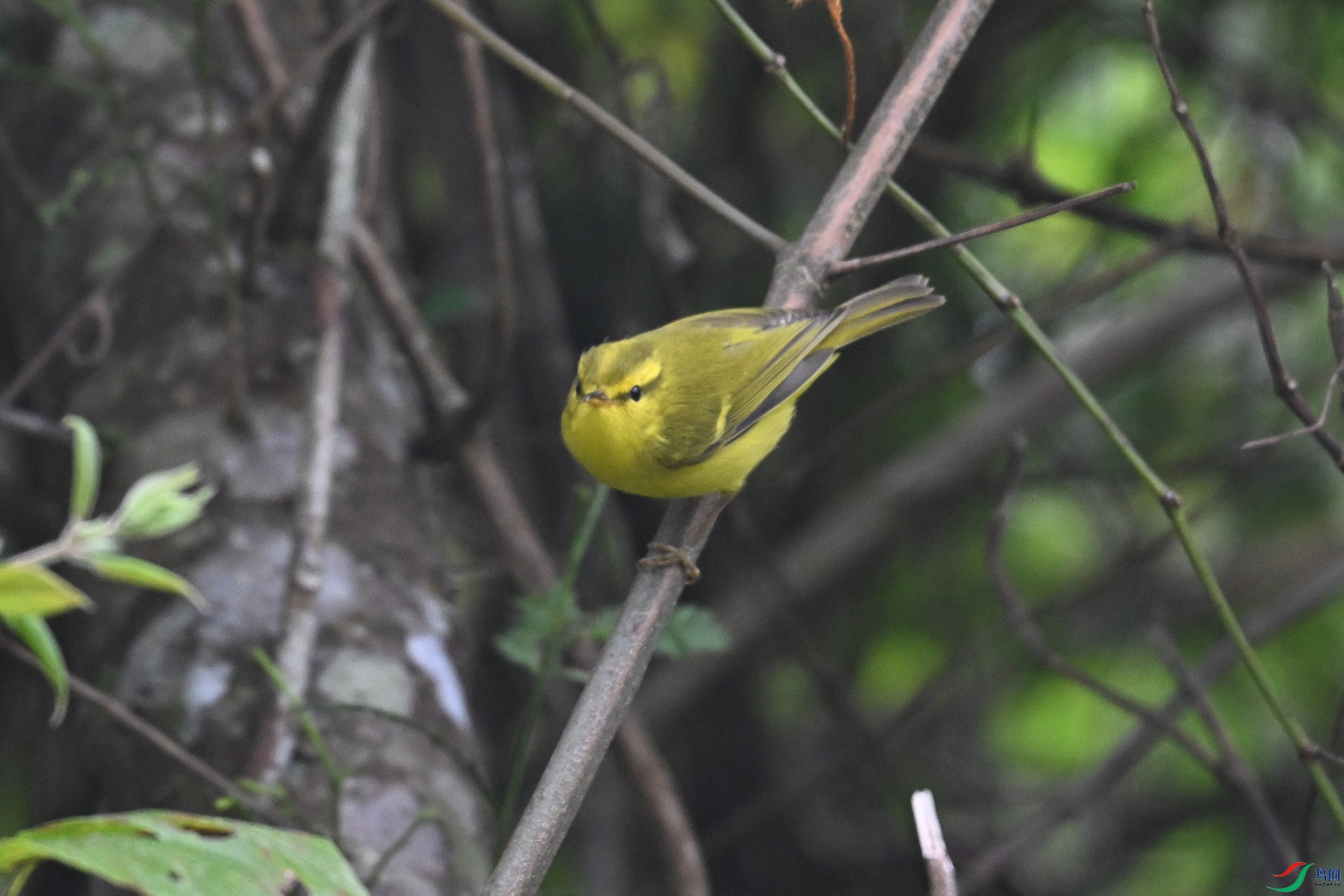 DSC_7122.JPG