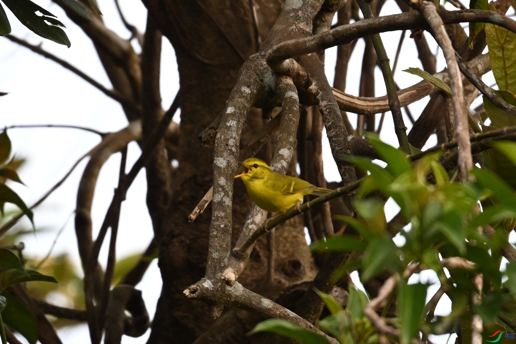 DSC_7130.JPG