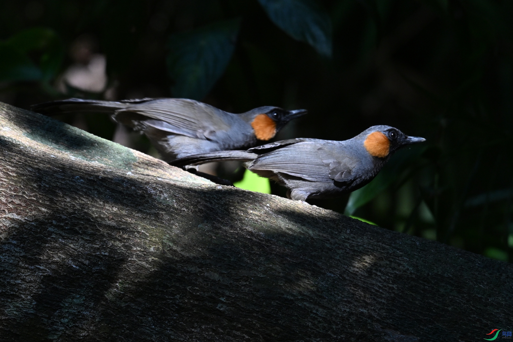 DSC_7192.JPG